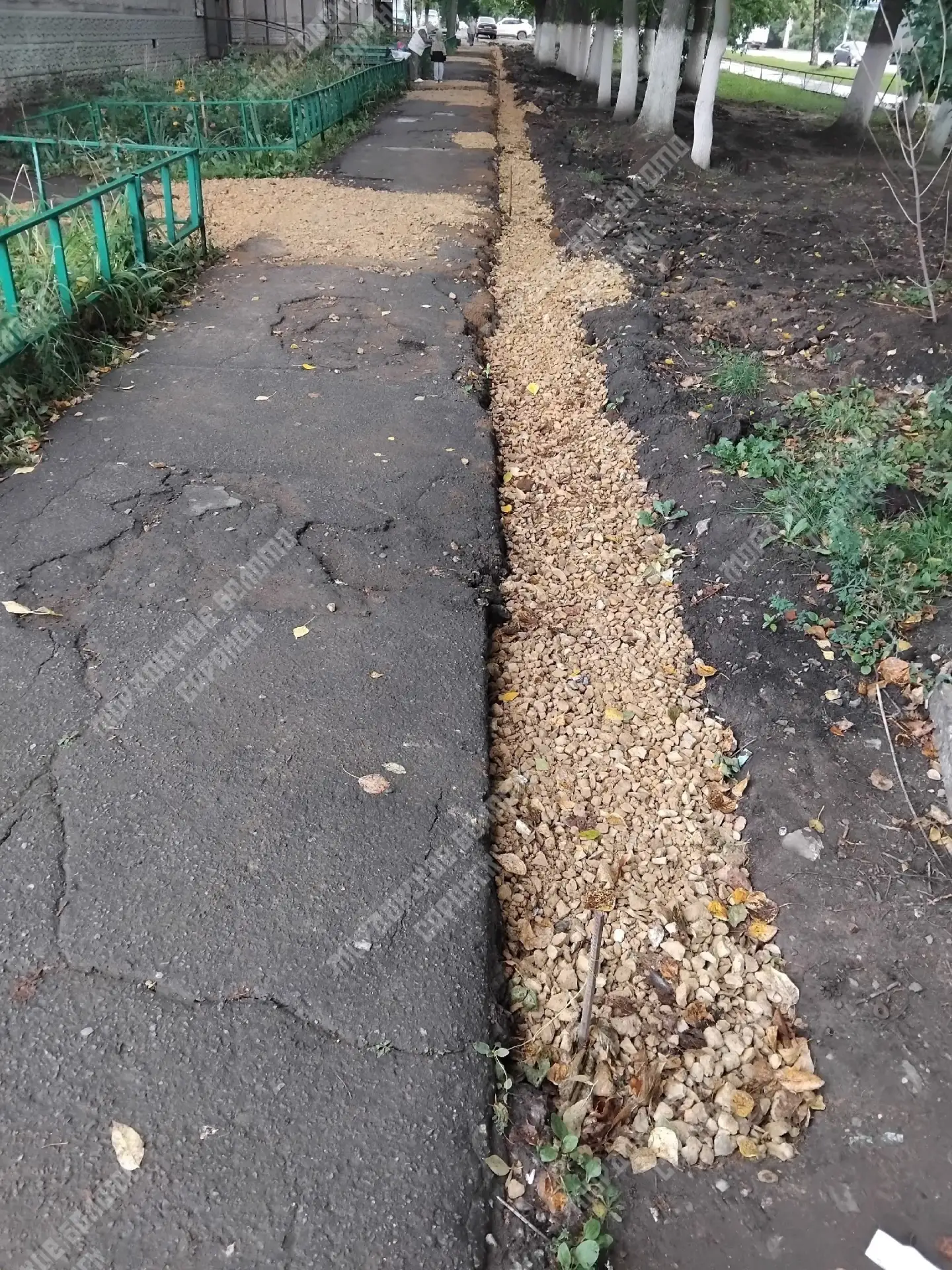 24 августа в 15.30 по адресу Веселовского д.62 я была очевидцем ,как женщина упала из-з...