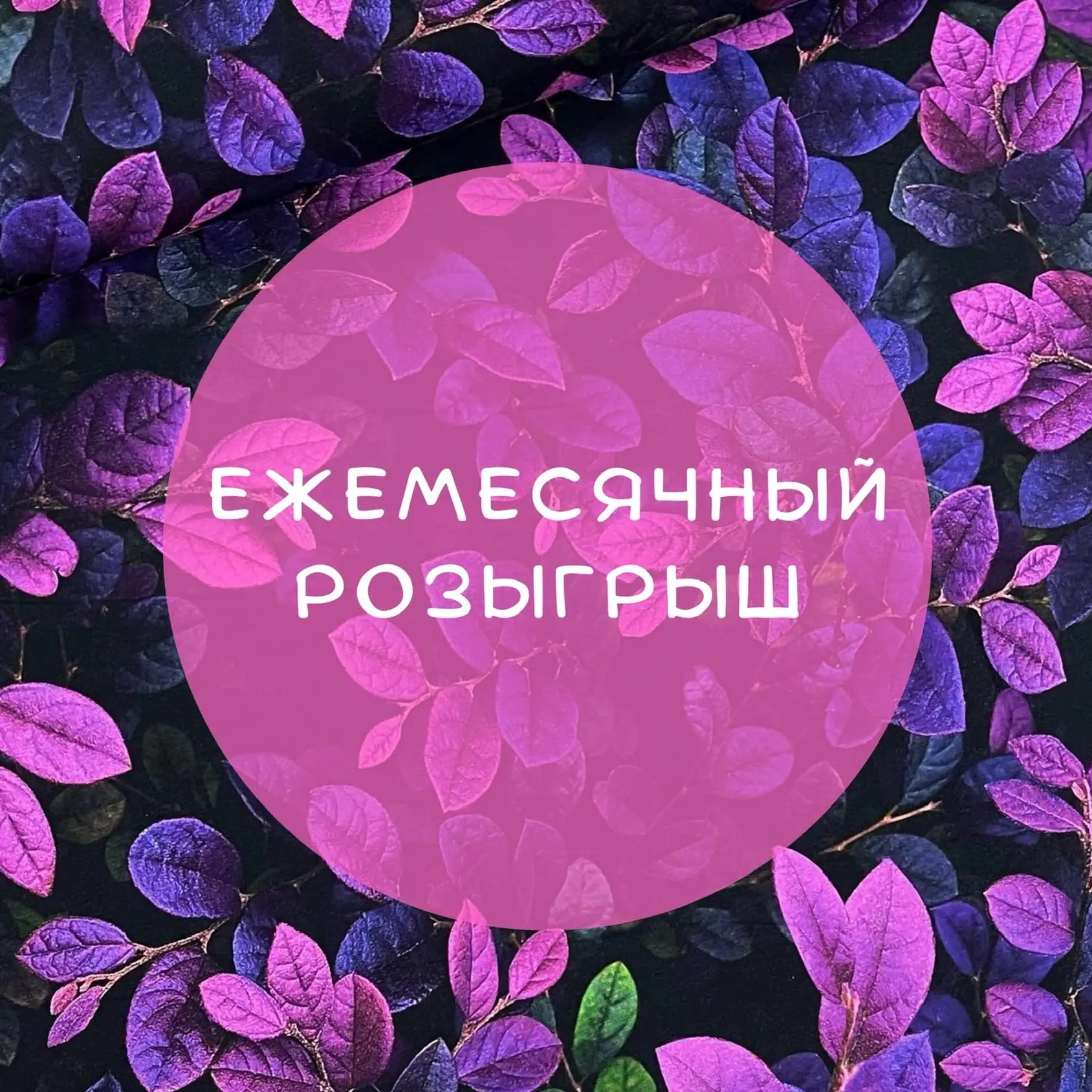 Добрый день!☀️