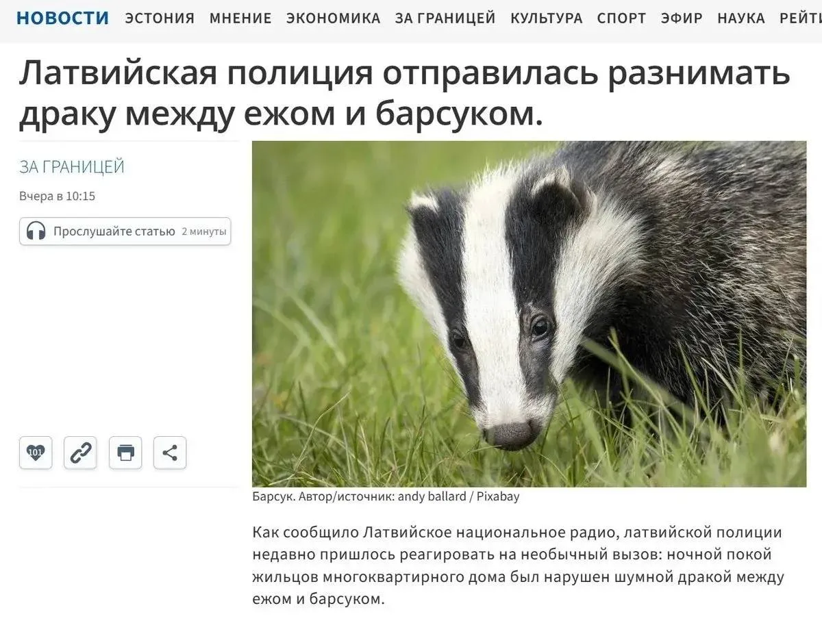 В перерывах между потужными перемогами над москалями