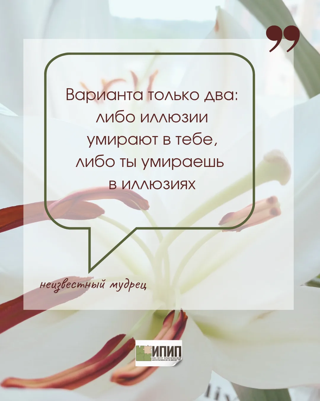 #ипип@oooipip3 #цитата
