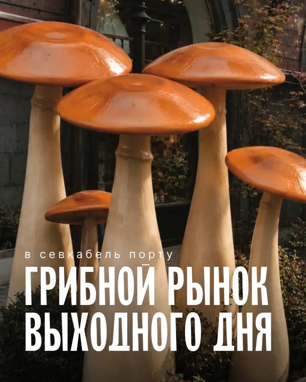 Мероприятия на выходных