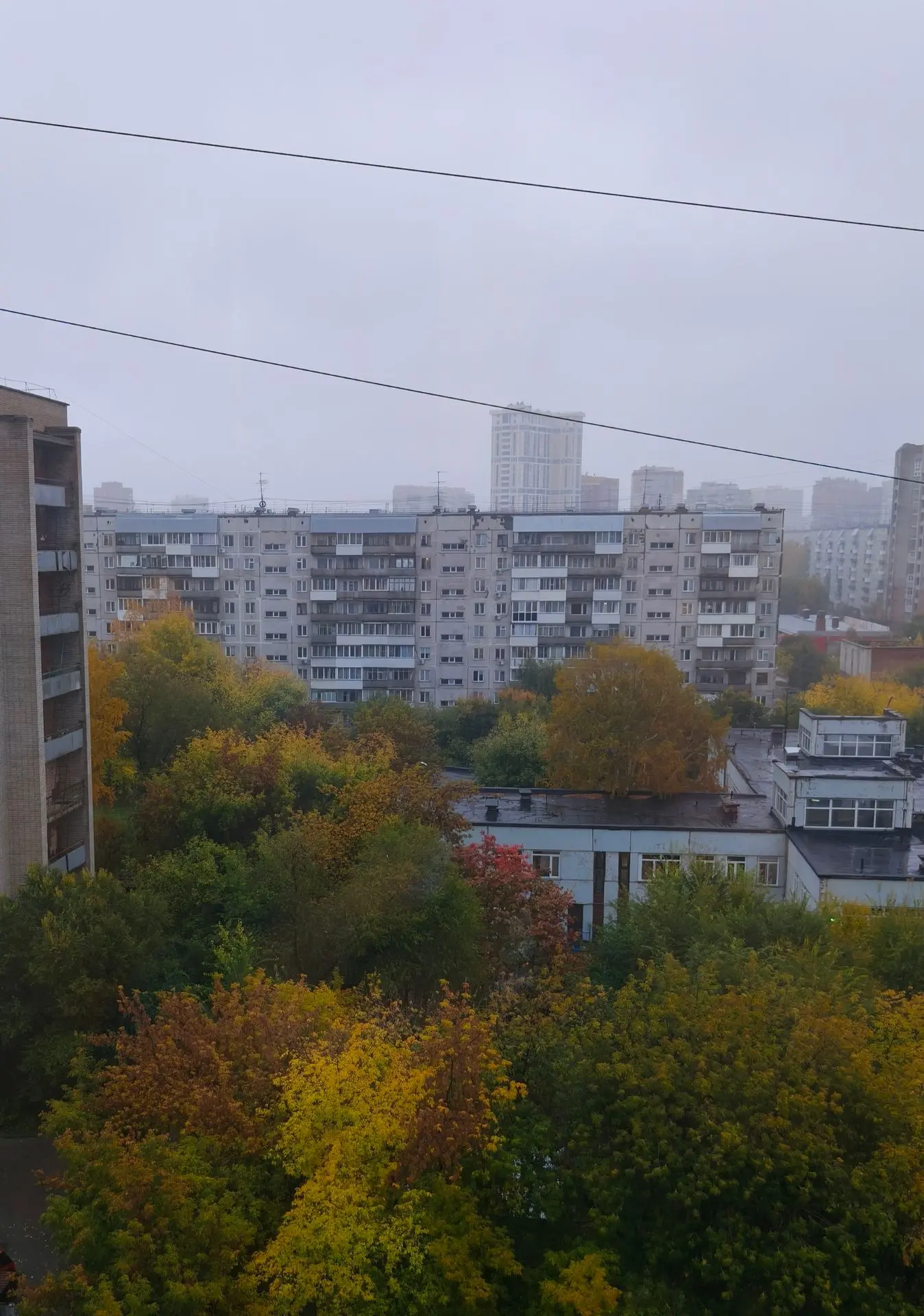 Люблю шутки природы.