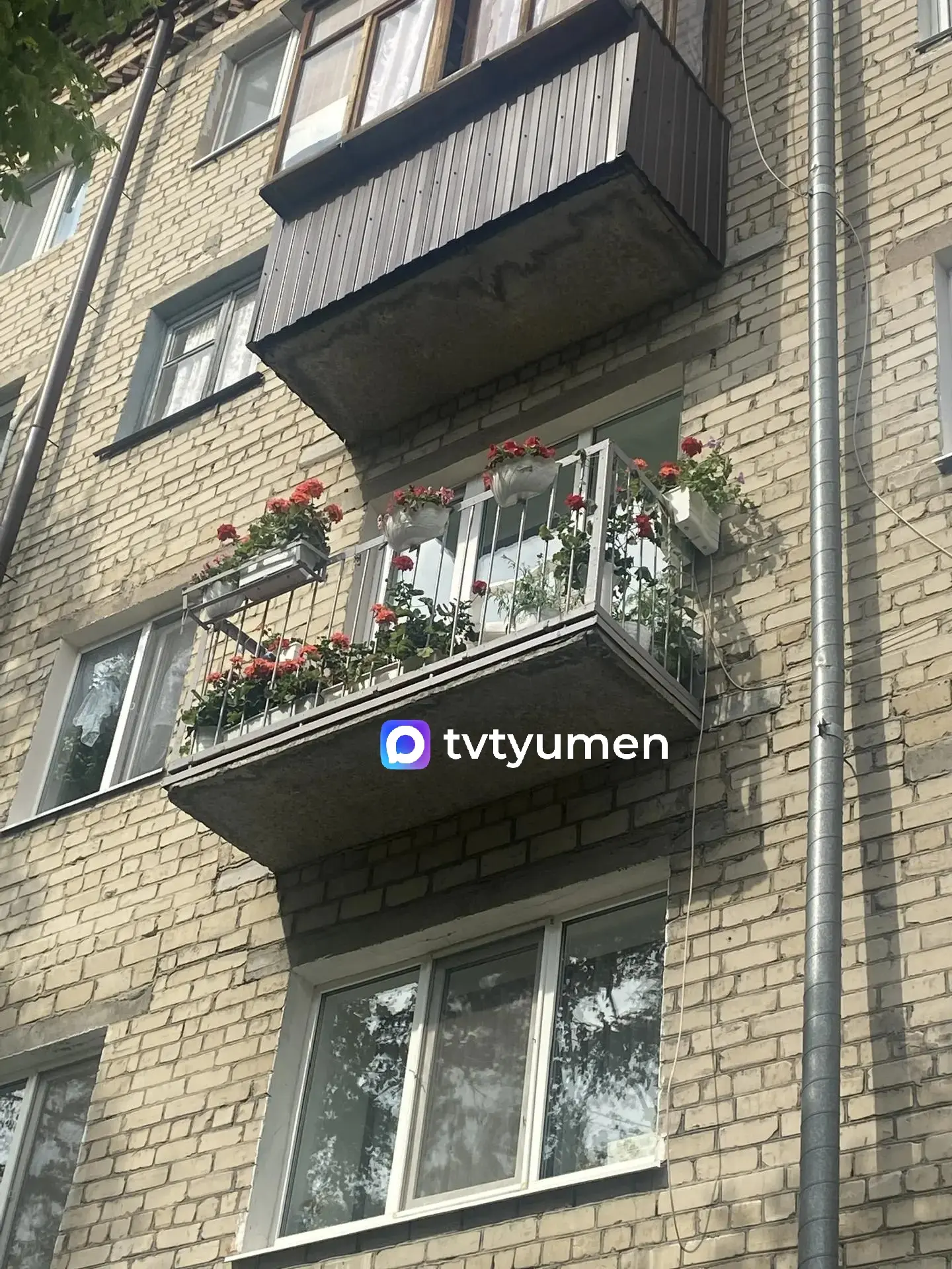 🌺 Любуемся, как тюменцы создают красоту вокруг

В центре города замечен яркий цветущий балкон 🌸 Та