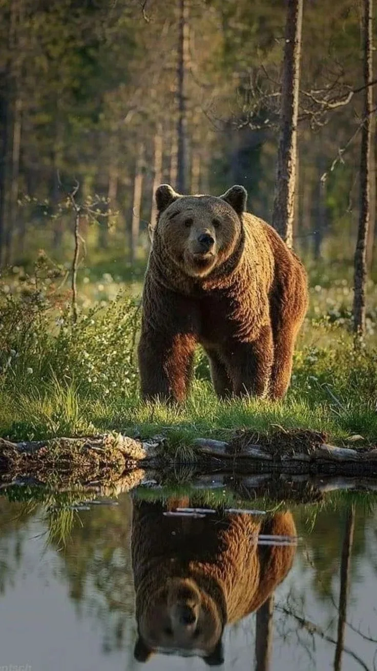 🆘 Уважаемые жители!