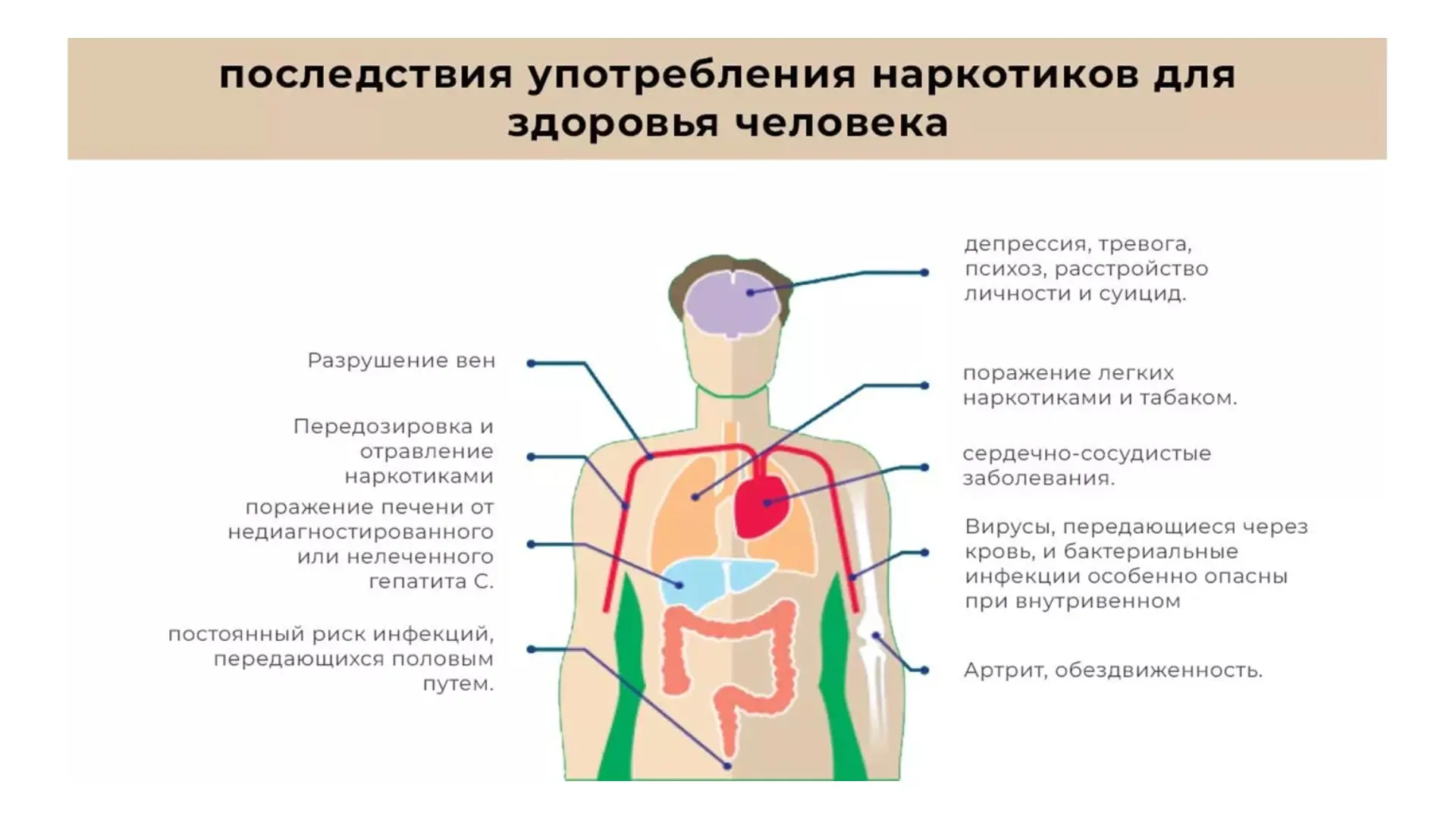 «Влияние психоактивных веществ на психику человека» — новый информационный буклет!   🗓Отдел организа