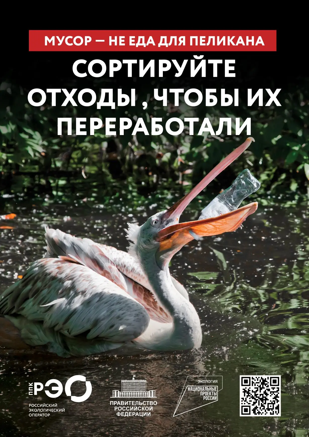 Ежегодно из‑за пластика гибнут миллионы животных. Раздельный сбор мусора — первый шаг к решению проб