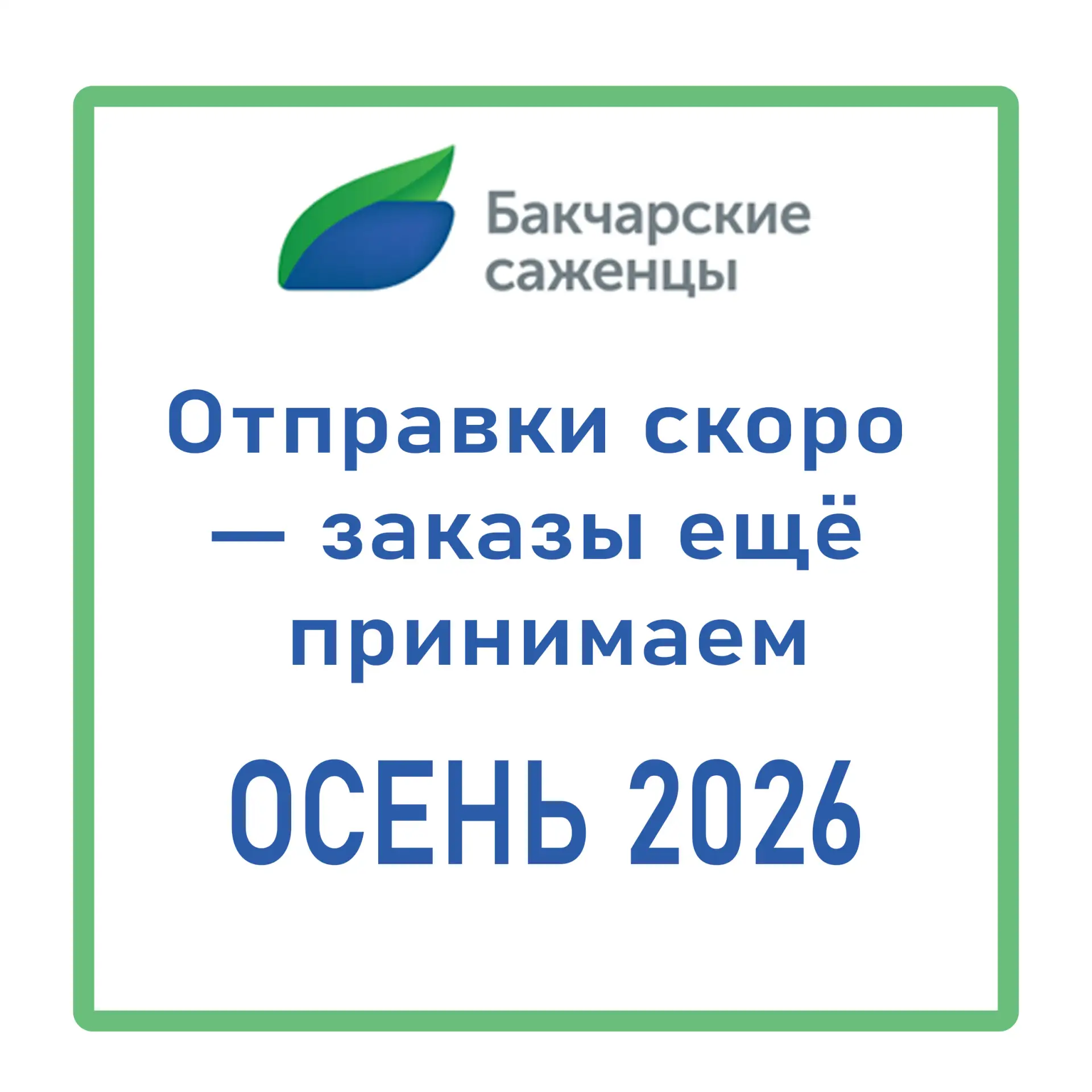 🍂 Друзья, мы уже на финишной прямой! Уже в сентябре начнём отправлять заказы с саженца...