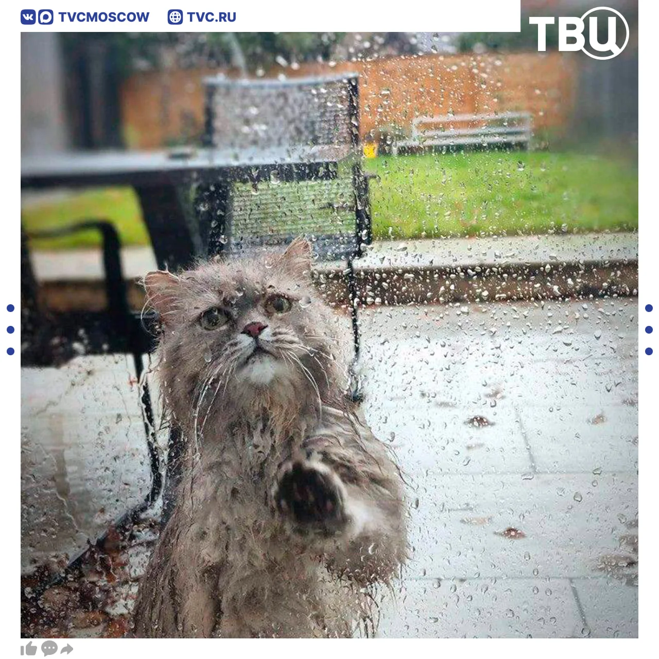 ☔️ Москвичи, самое время доставать лодки: завтра выпадет до 17 литров воды на один квадратный метр

