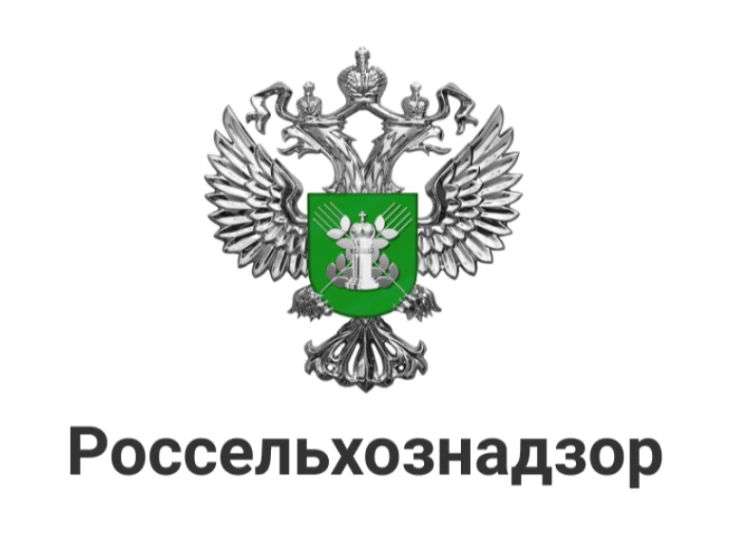 Россельхознадзор разъяснил правила учёта домашней птицы в личных подсобных хозяйствах