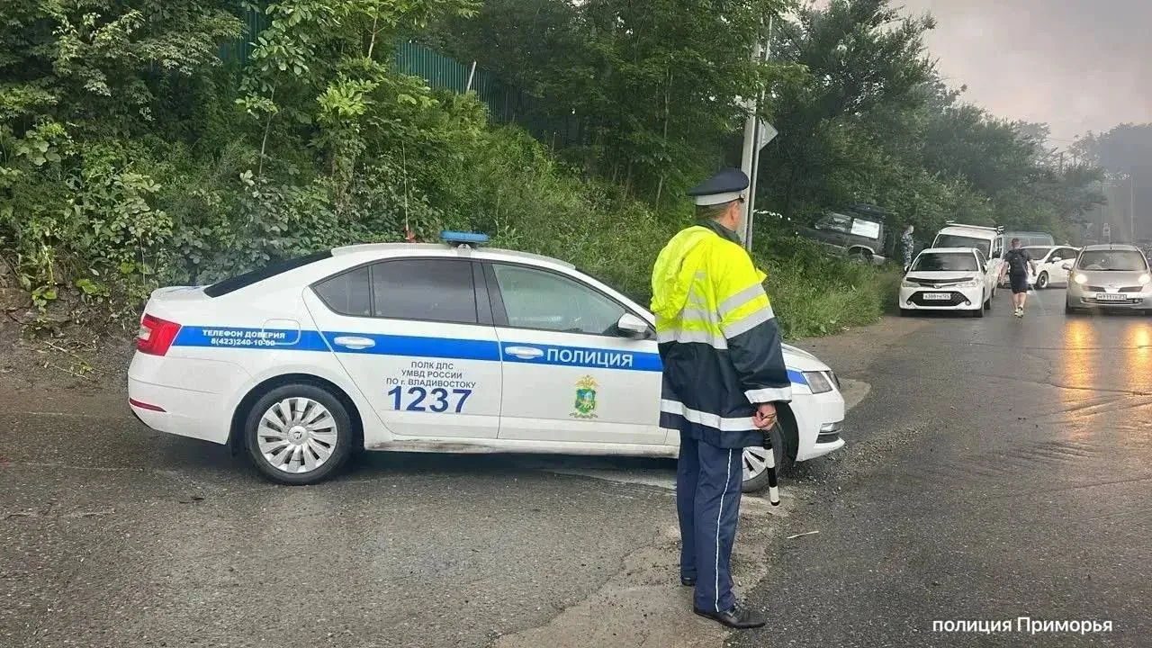 ❗️Полиция начала проверку после мощного пожара на складе во Владивостоке

Полицейские работают у гор