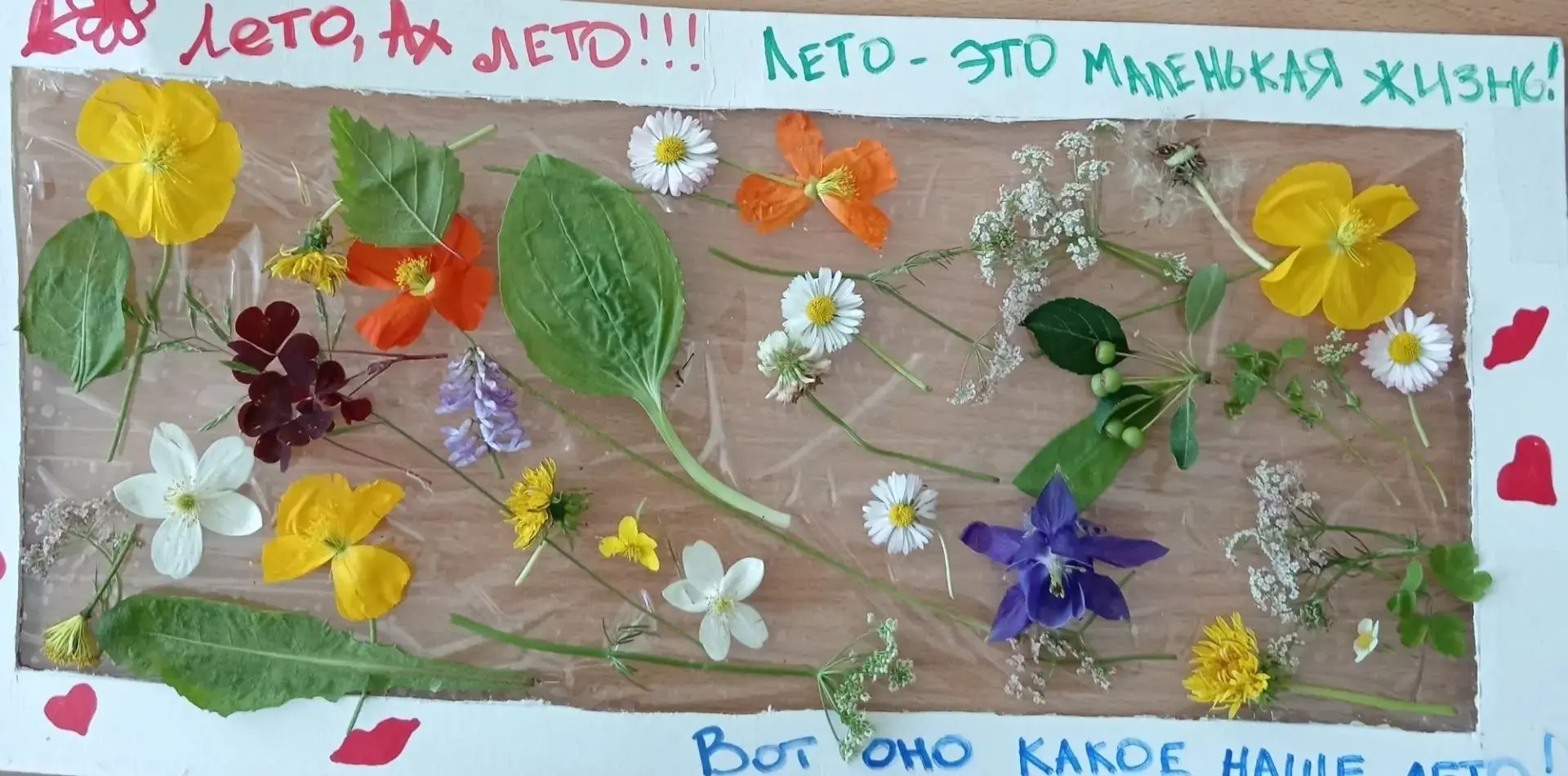 ☀Лето в ладошках: волшебное панно из даров природы в детском саду № 43
Лето – это настоящая сказка, 