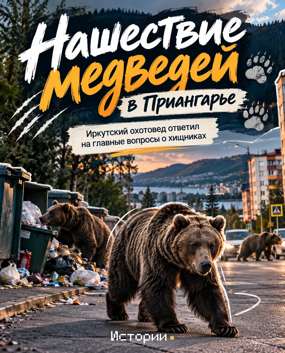 Медведи в Приангарье выходят к людям — уже отстрелили почти 350 проблемных особей. Член...