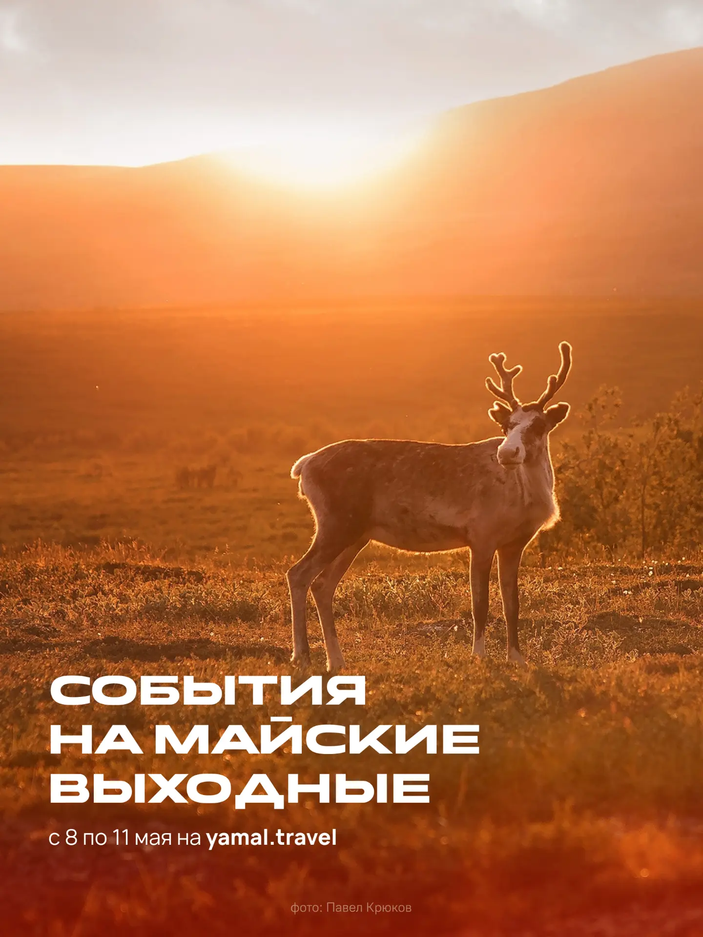 Планы на 8–11 мая — в календаре на сайте