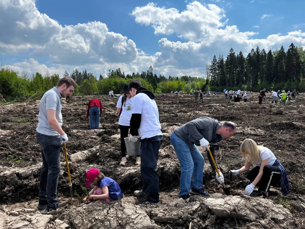 Сегодня в Подмосковье проходит акция "Сад памяти".   🌲Сотрудники Минтранса Подмосковья во главе с пе