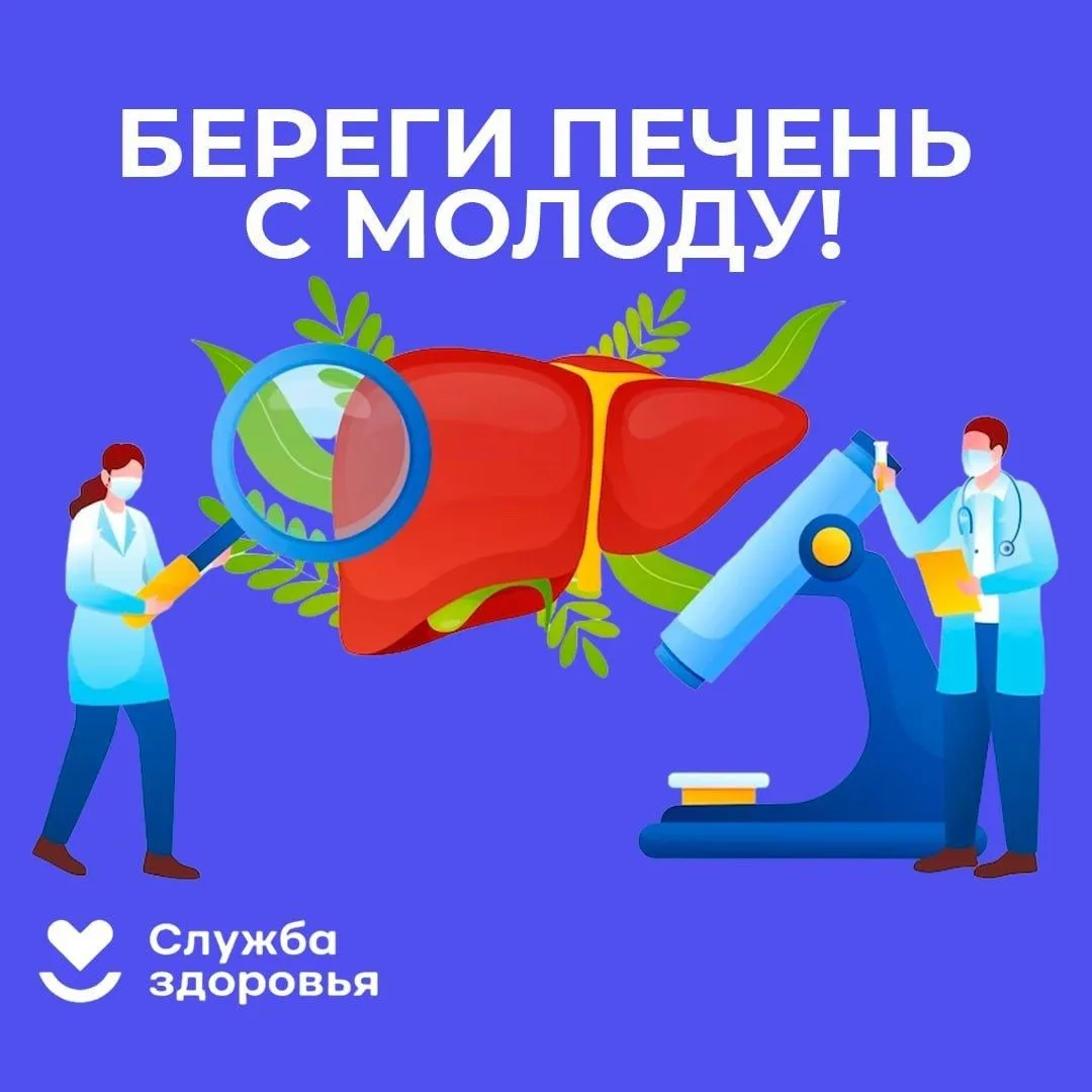 Печень – важнейший орган в человеческом организме, который очищает кровь от токсинов, ядов и аллерге