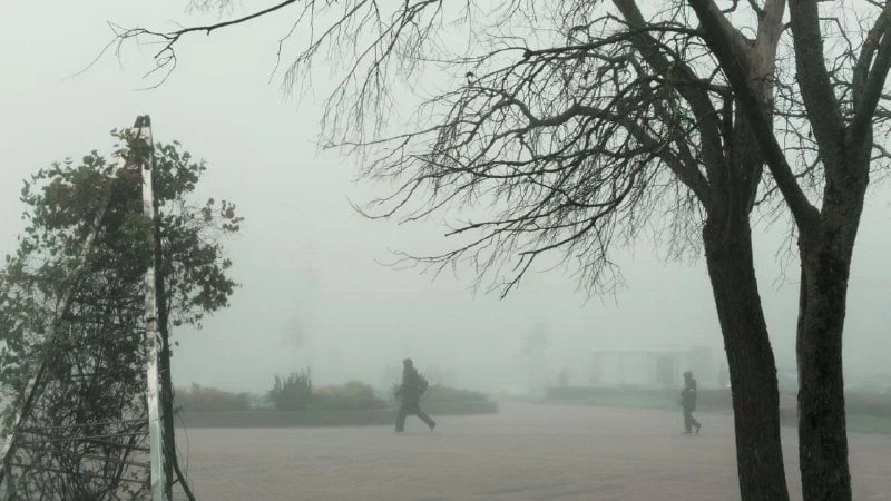 Утренние поиски ежика в Купчино