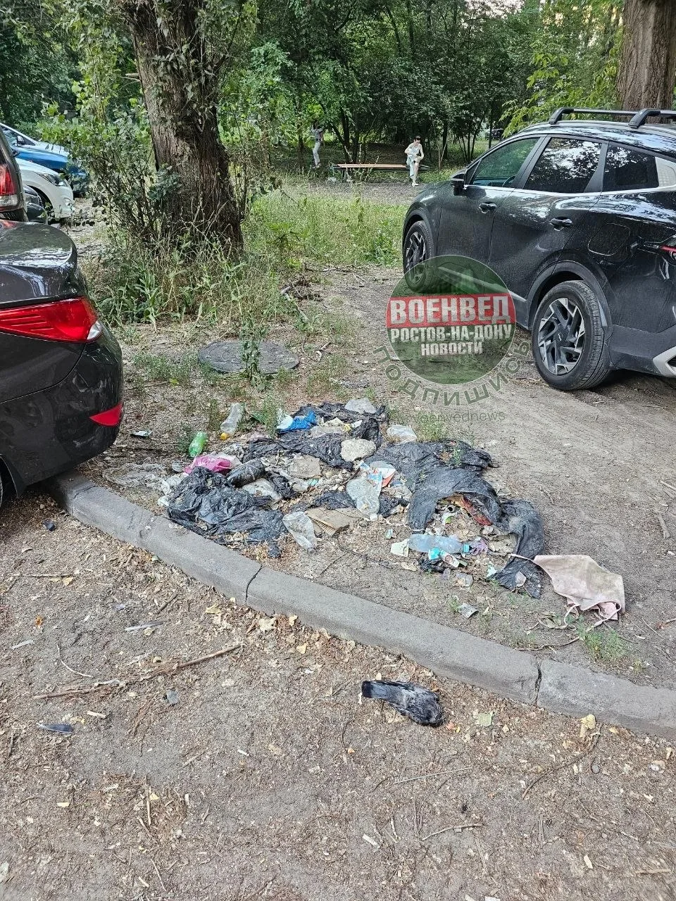 Свалка кругом. Вот между Тимошенко, 26/1 и 28. Зачем же сами себе мусором? 🤮

👉 Подписаться на Вое