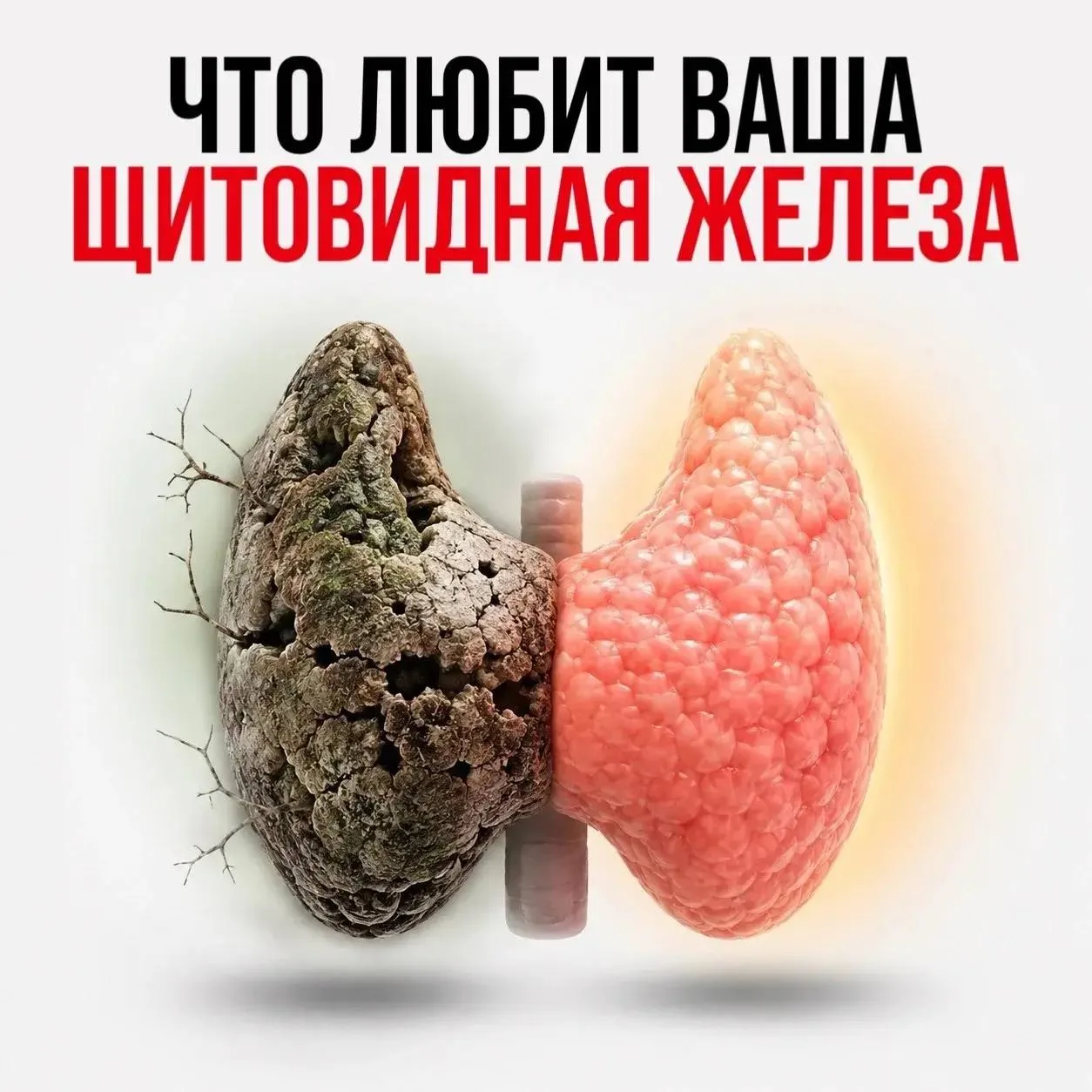 Щитовидка - это главный дирижер нашего организма ✊🏻