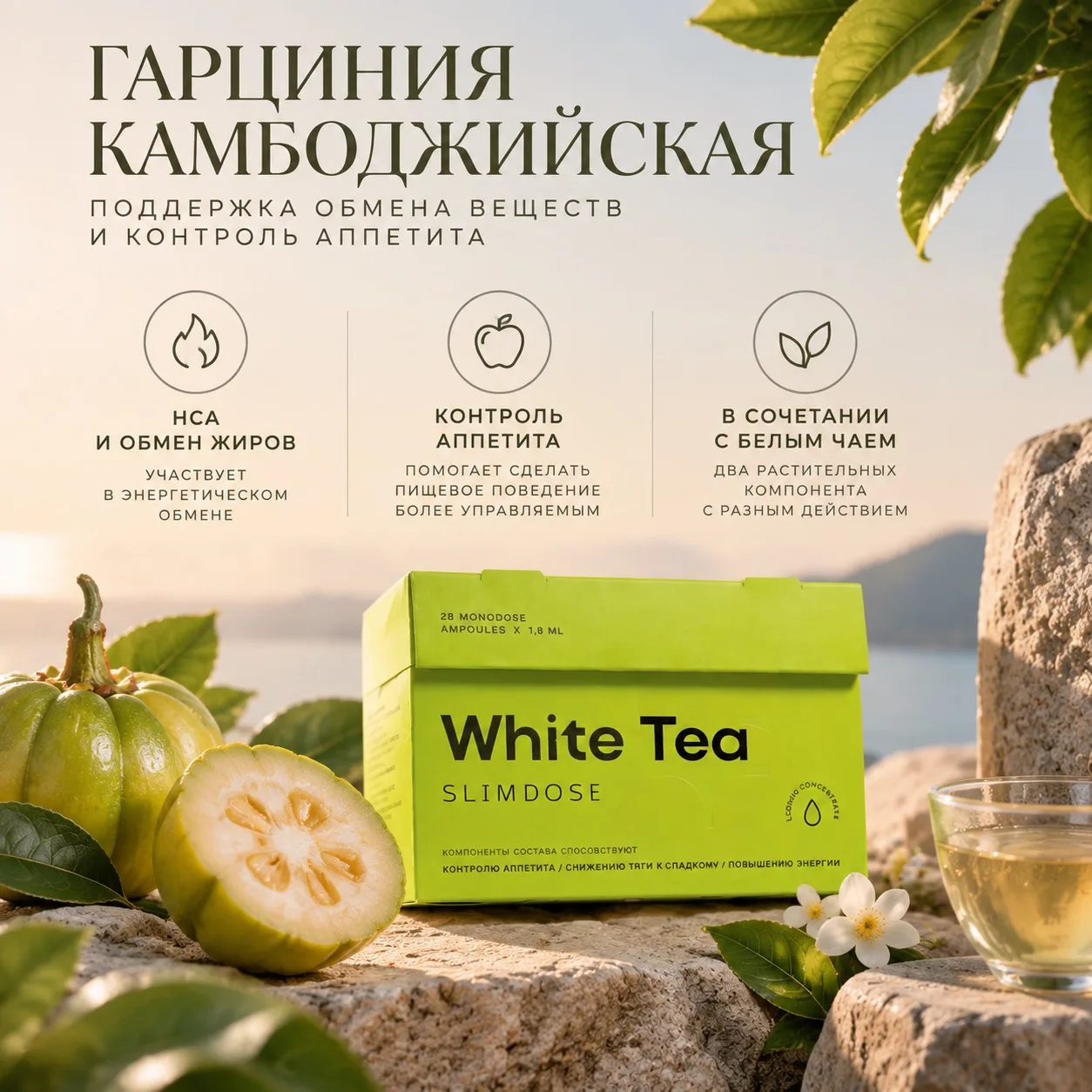 ГАРЦИНИЯ КАМБОДЖИЙСКАЯ