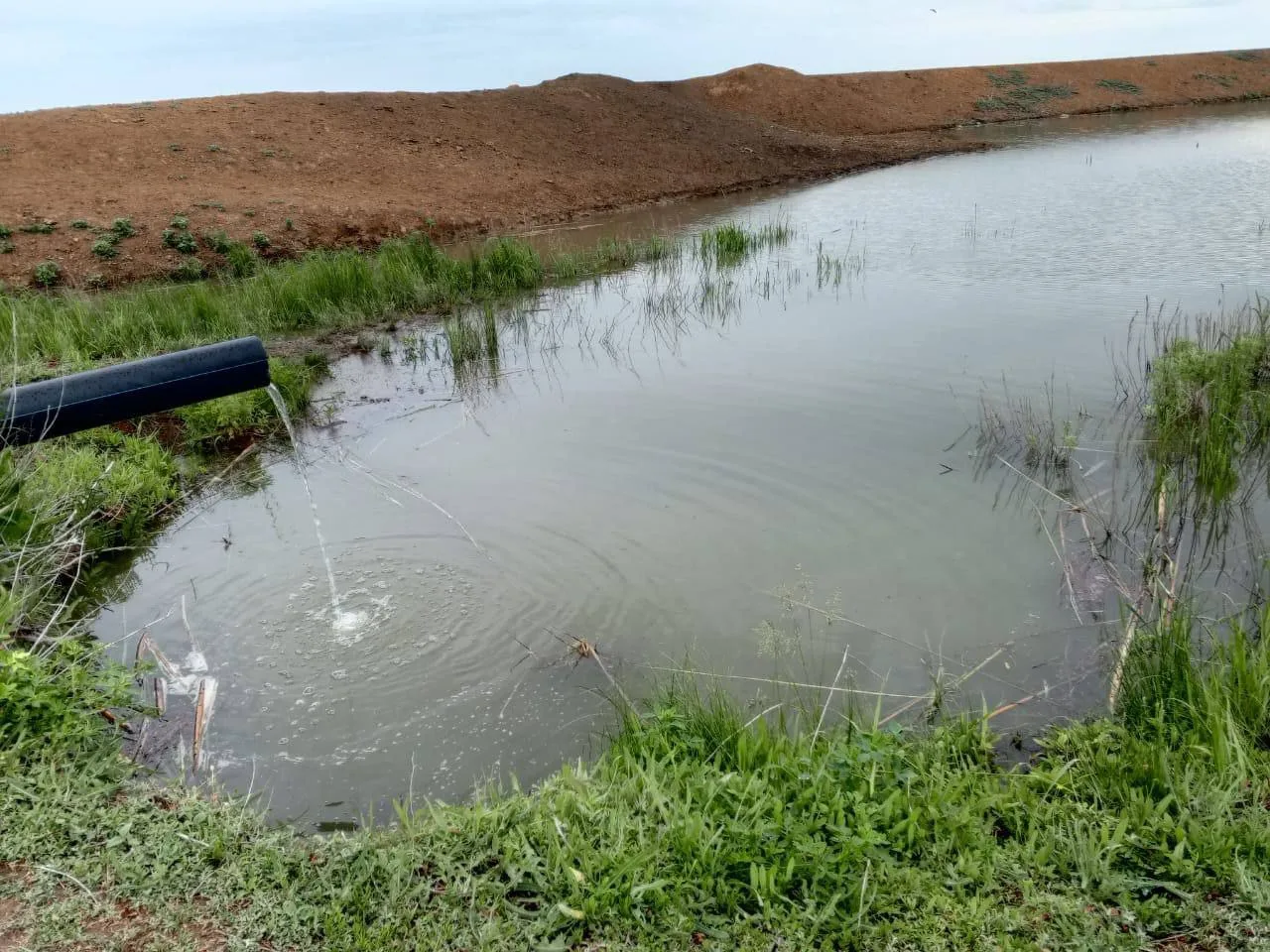 На закачку водохранилищ и прудов в Левобережных районах Саратовской области  направлено около 60 млн