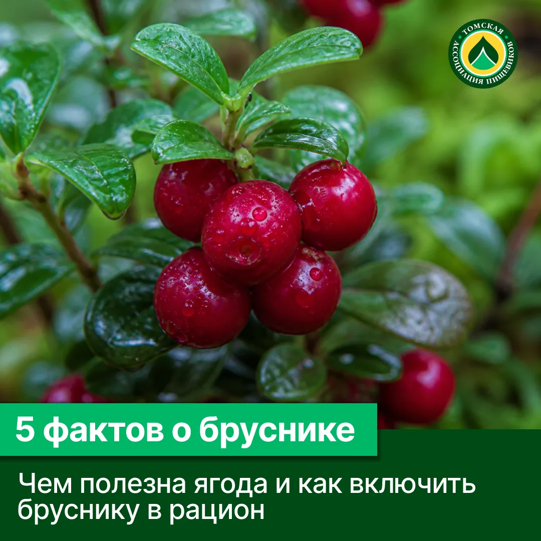 ❤️ 5 фактов о пользе брусники