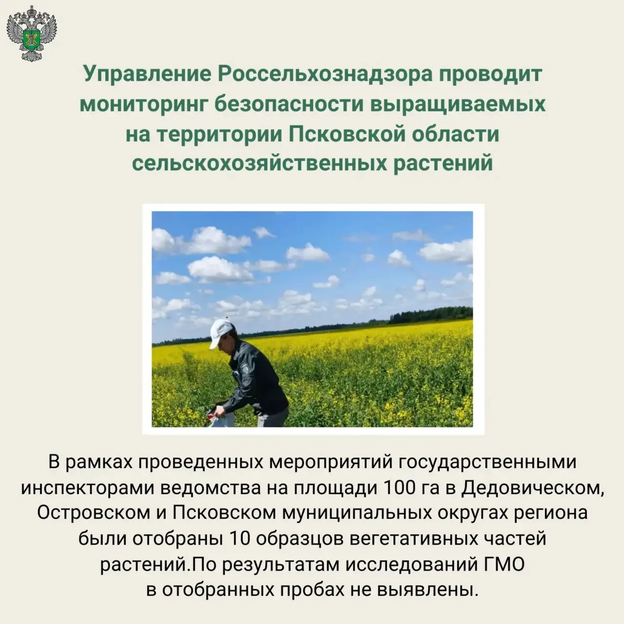 🔗 Подробнее на сайте