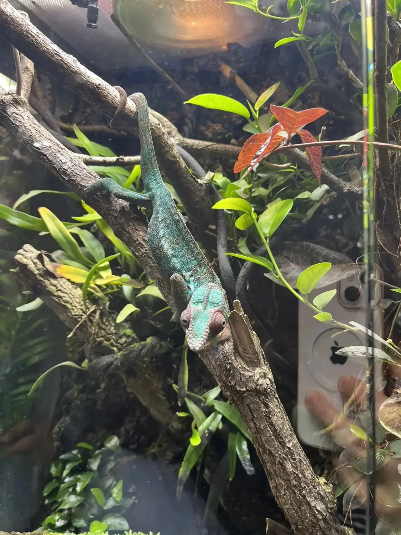 🌿 День в зелёном сердце столицы!🌿