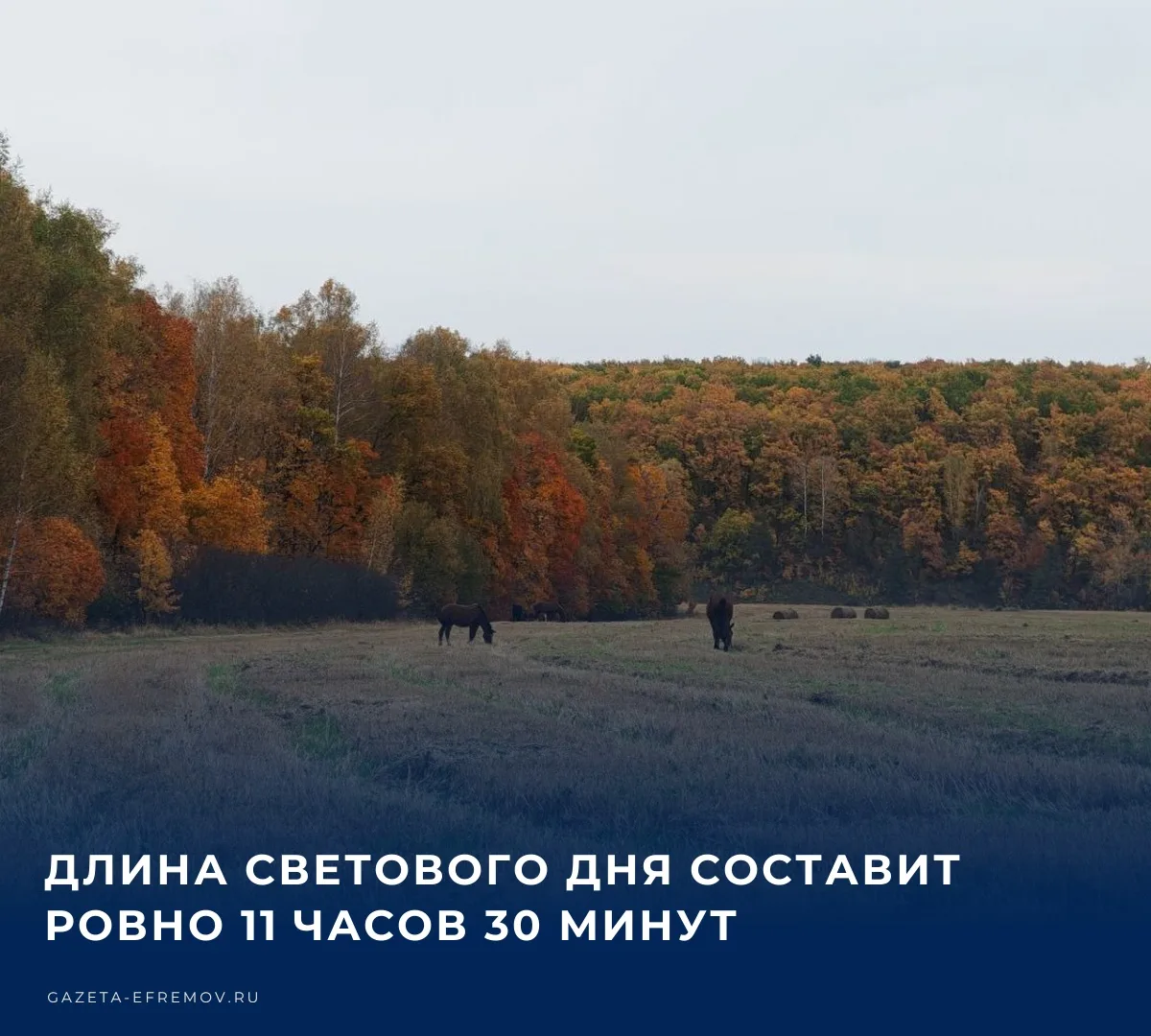 ☀️ Сегодня в Ефремове облачно с прояснениями, температура воздуха составит +8…+11 °С.​