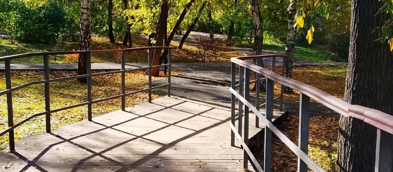 🍁 Осень радует красками в сквере