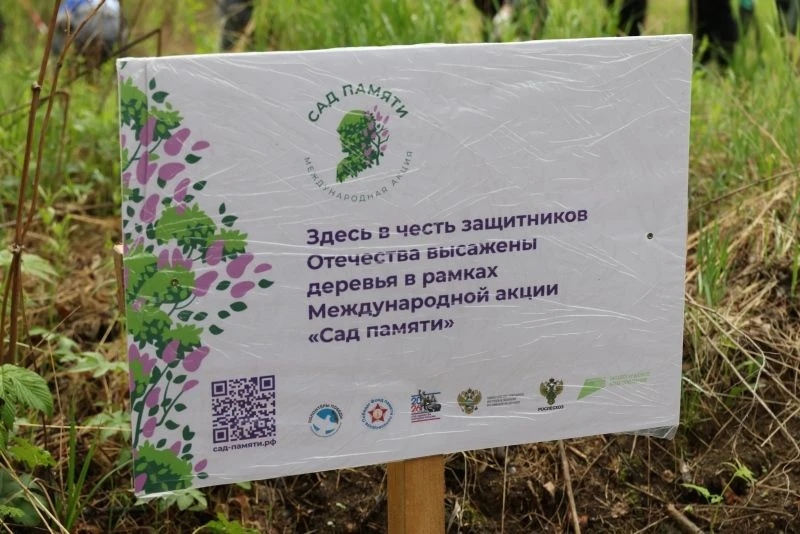 🌿В Хабаровском крае подвели итоги акции «Сад памяти»