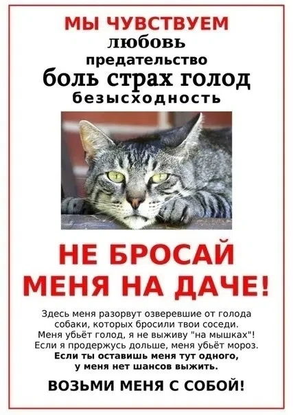 О НАСУЩНОМ....