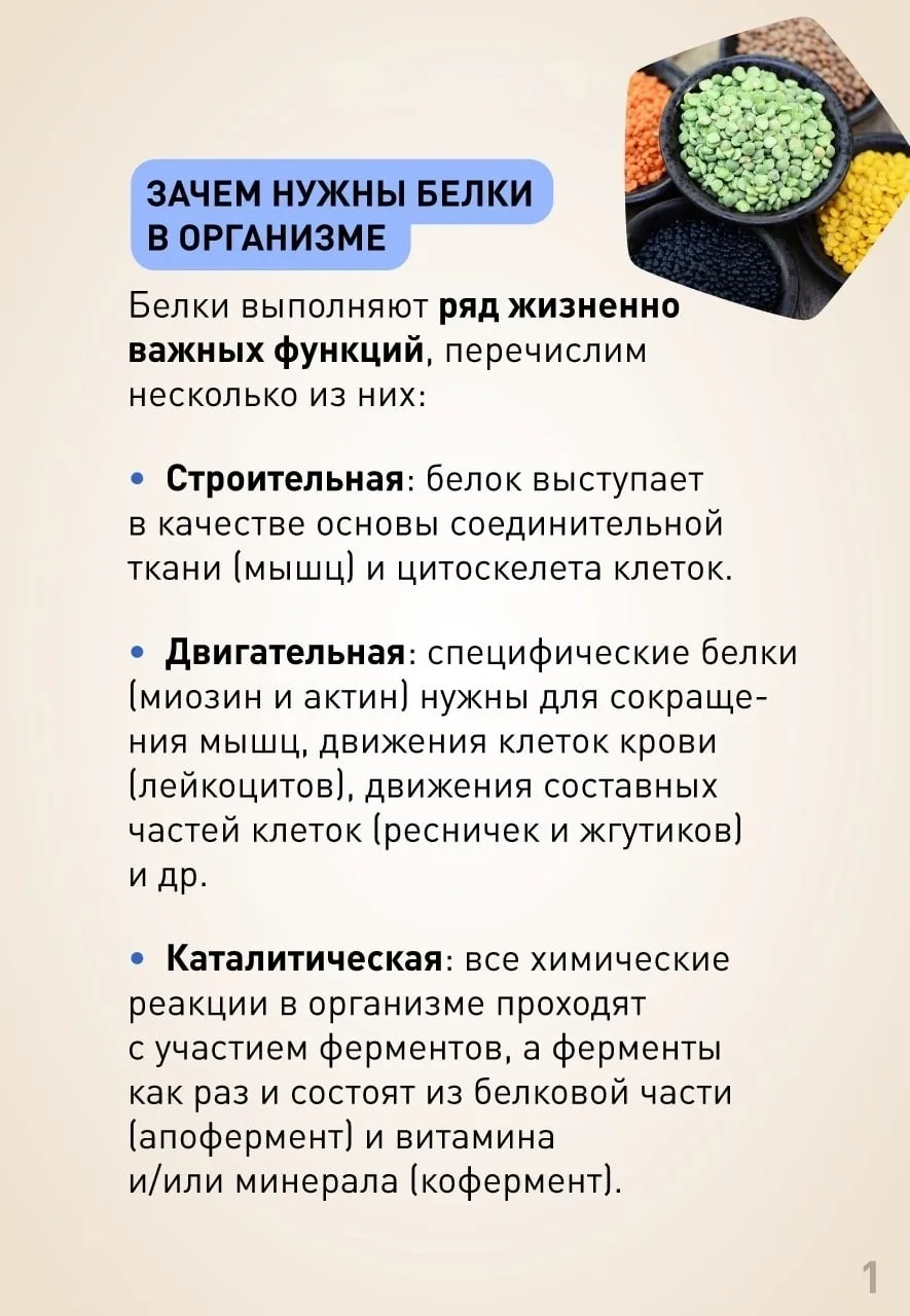 Животный белок или растительный: польза или вред?