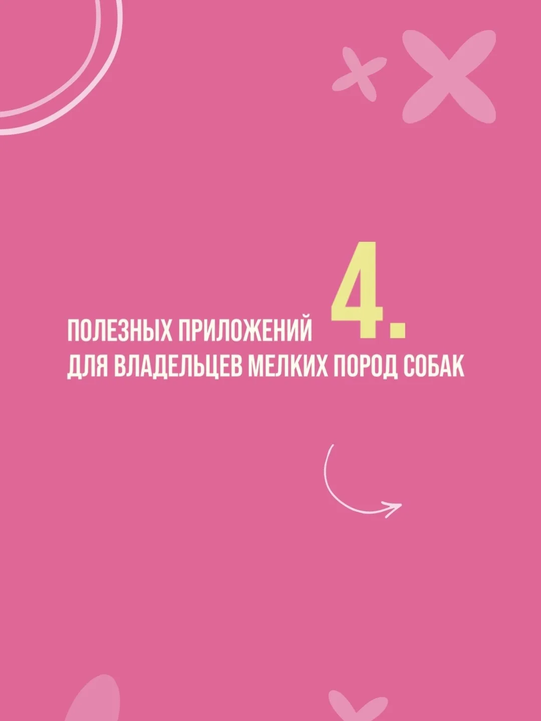 4 полезных приложений для владельцев мелких пород собак 🐕‍🦺