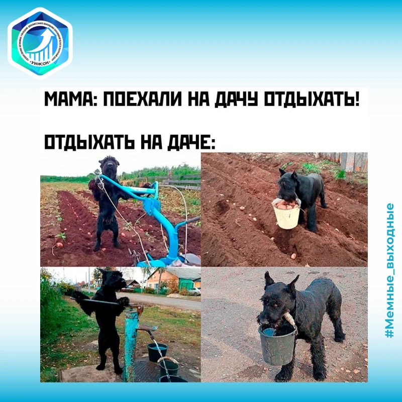 🌚Делитесь вашими любимыми мемами, смешными картинками и видео в комментариях!
🌝Самые интересные по