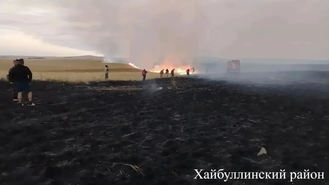 За минувшие сутки в Абзелиловском, Зилаирском и Хайбуллинском районах произошло три лес...