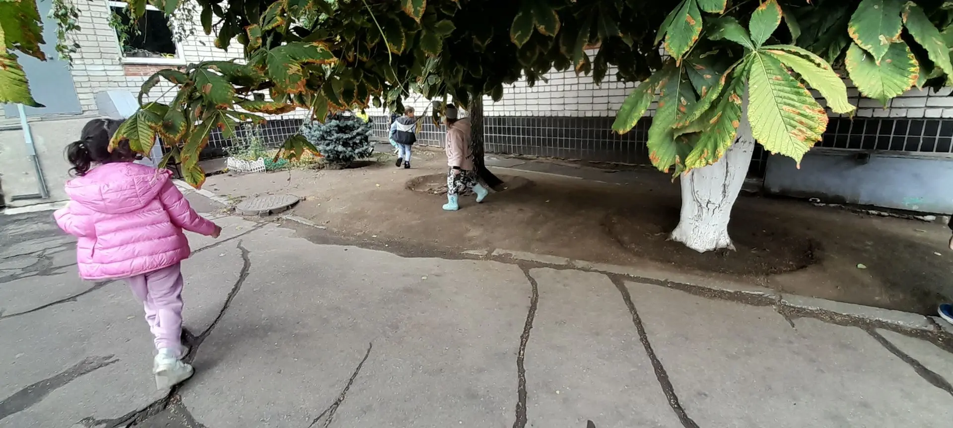 В поисках каштанов 🌰