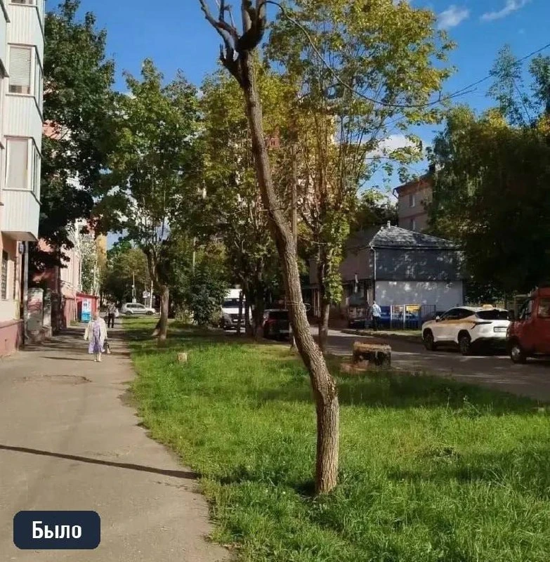 🌳 В Климовске обрезают деревья во дворах