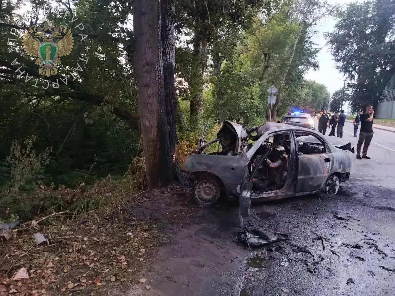 В Татарстане подросток выжил в ДТП в котором заживо сгорели шесть его друзей-ровесников

Страшная ав