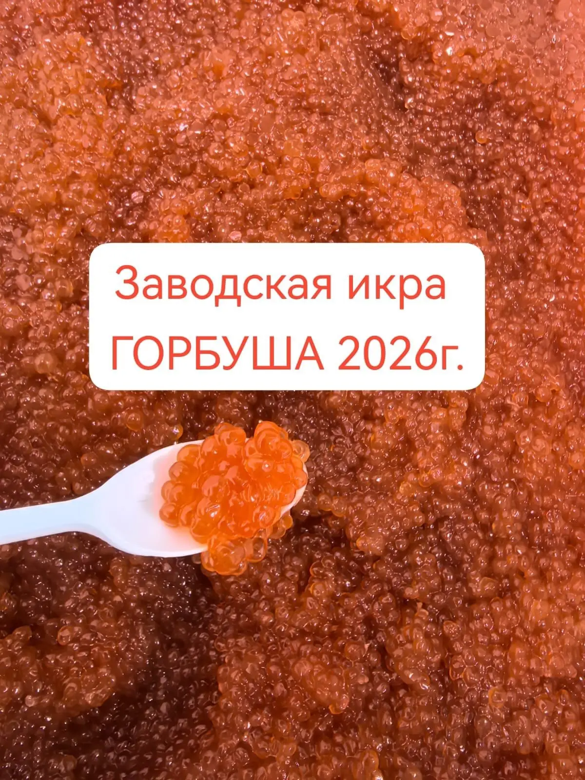 К 15ч🔴🔴🔴 1 сорт - ИКРА ГОРБУШИ ЗАВОДСКАЯ с севера Сахалина

🔥 количество ограничено 
✅ супер мел