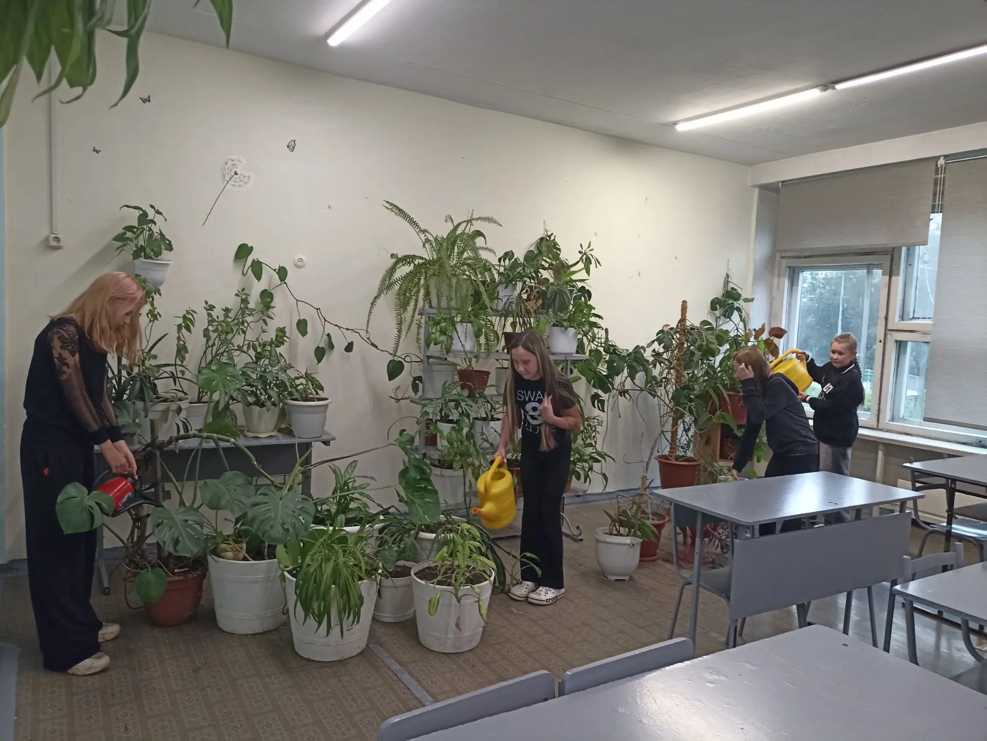 За окном дождь, а в школе — лето 🌧️🌿

Пока на улице непогода и слякоть,  отряд ТОШ снова в деле, н