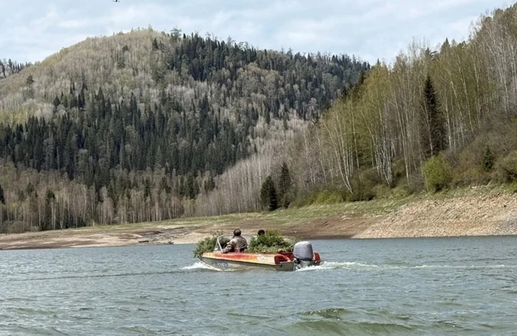 На Красноярском водохранилище рядом с ГЭС появились искусственные нерестилища