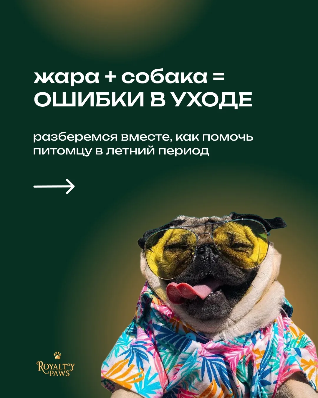 Ура, уже завтра начинается лето — еху! ☀️🐾