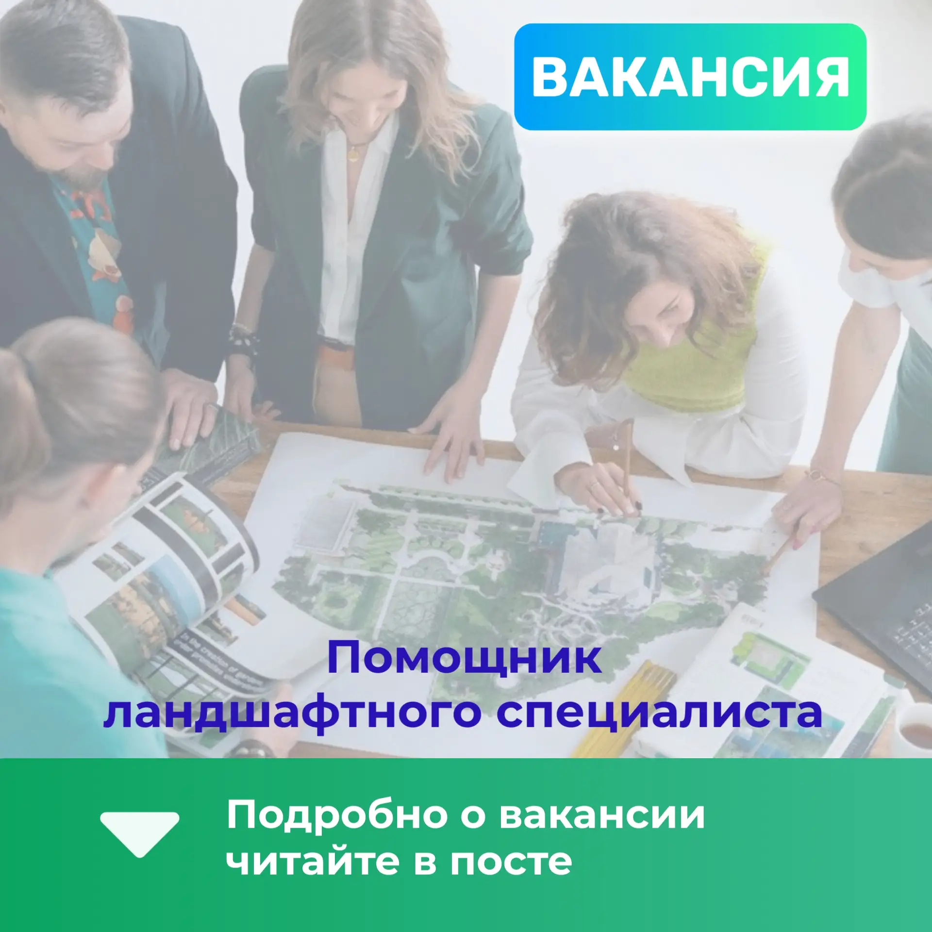 Ищешь реальную практику в ландшафтном дизайне? Команда «Тисс Гарден» ищет помощника на ...