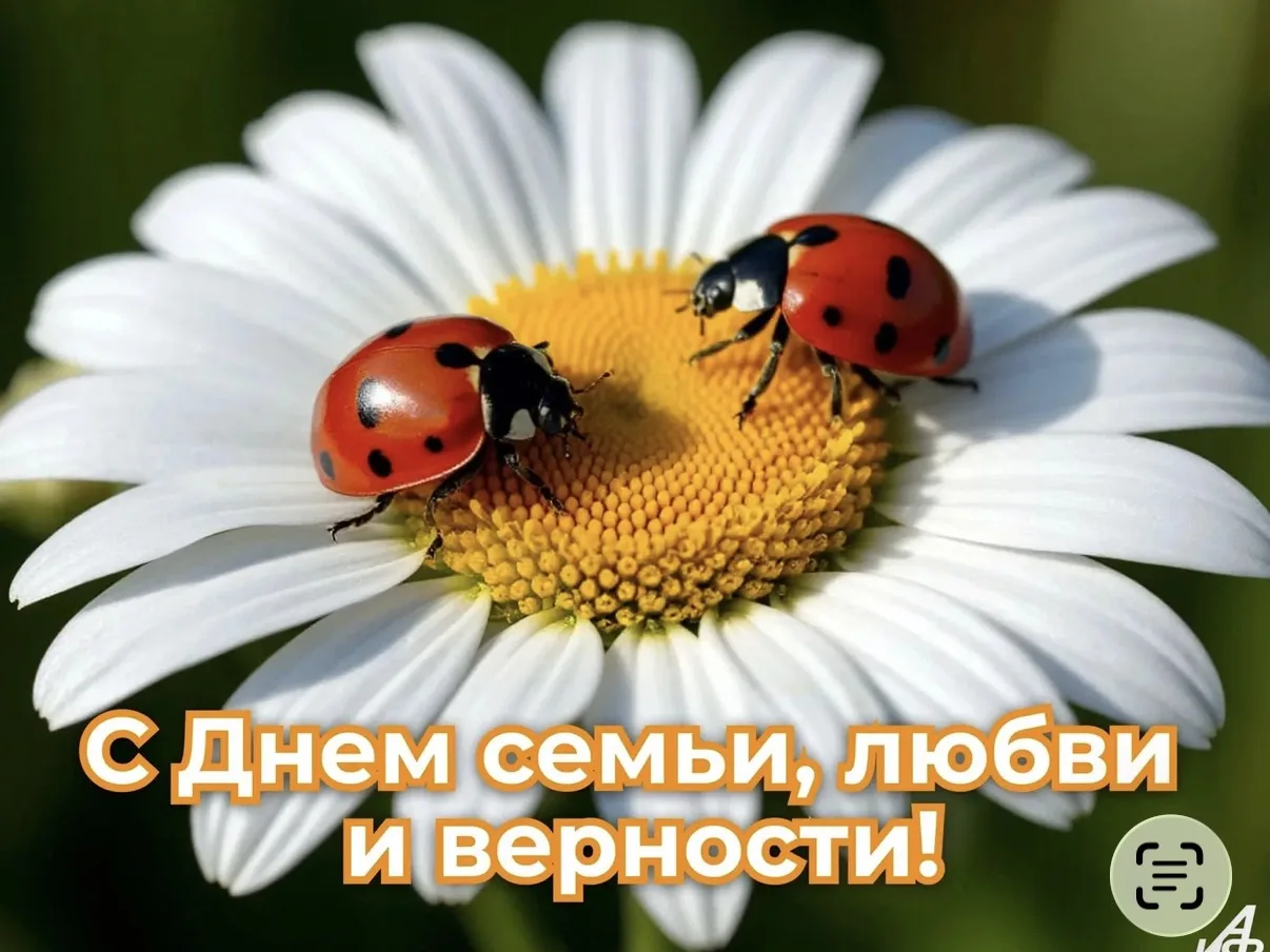 🌼 С Днём семьи, любви и верности!

Пусть в вашем доме всегда царят тепло, взаимопонимание и счастье