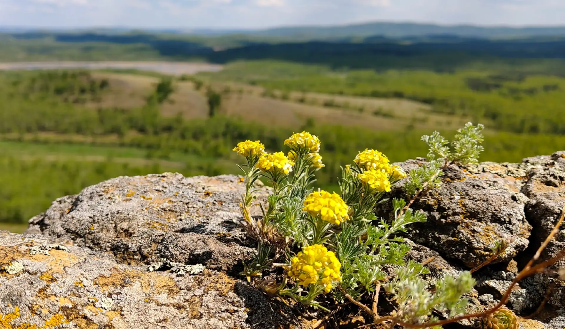 ☀ УРА! ПОТЕПЛЕЛО ☀