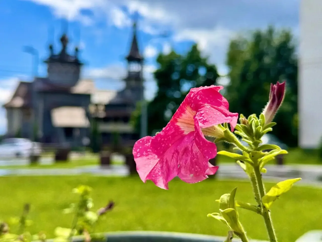 Работы по озеленению провели в районе Бекасово

🌳Сотрудники ГБУ «Жилищник района Бекасово» завершил