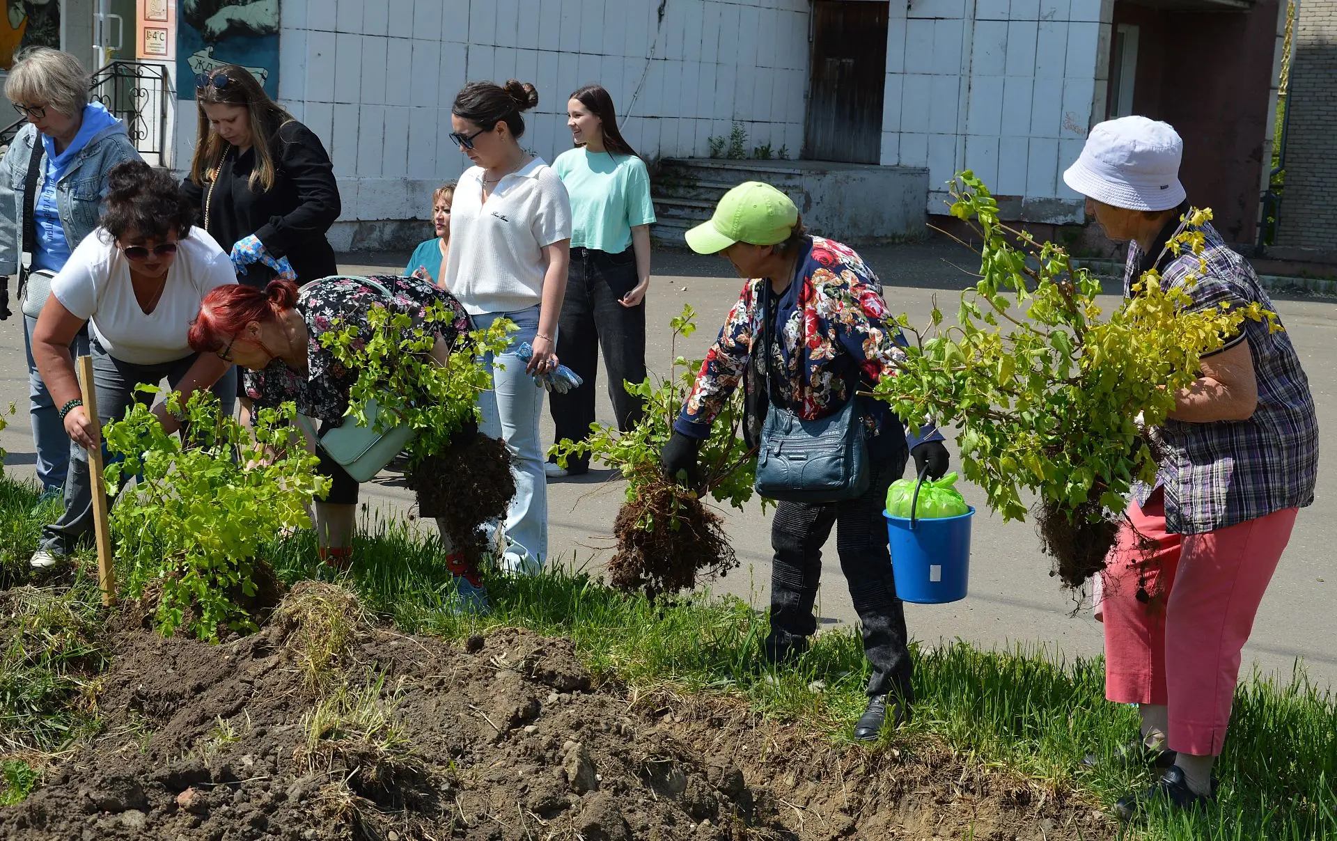 💚Зелёная волна на набережной Амурска: вместе создаём город мечты!