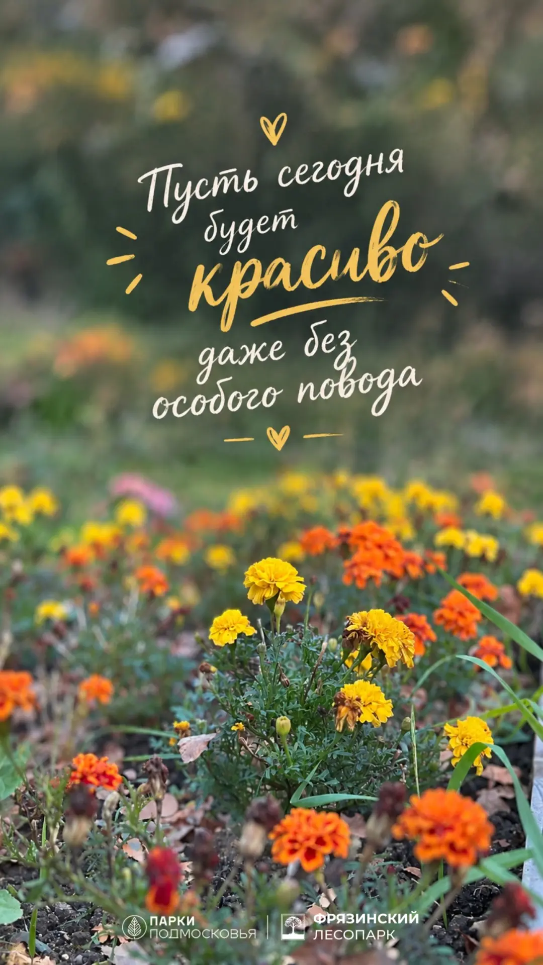 🍂 Мотивирующие обои на октябрь 🍁