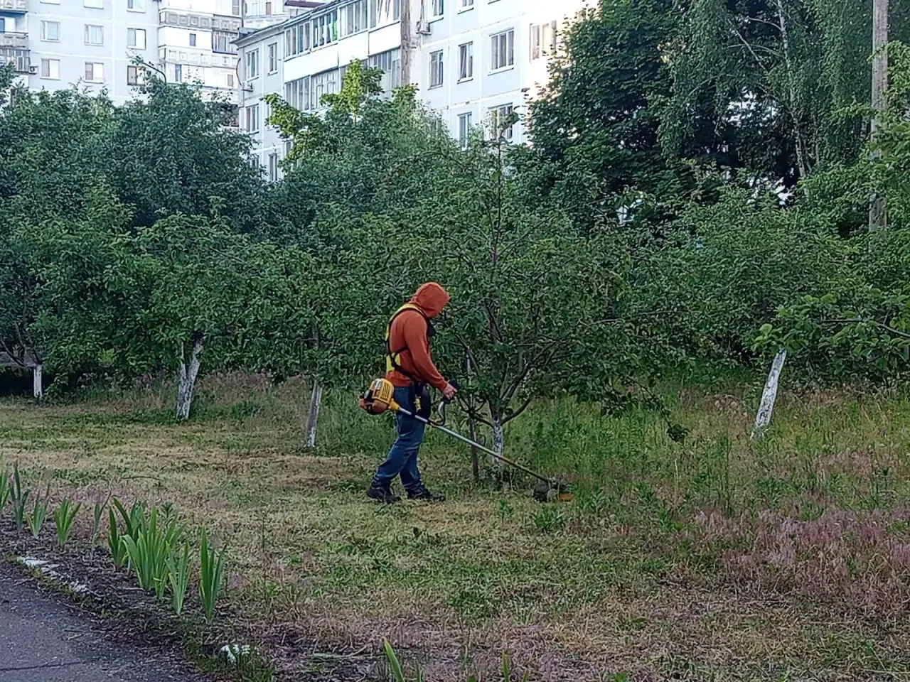 От имени педагогического коллектива гимназии хочу поблагодарить наших родителей за отзывчивость и го
