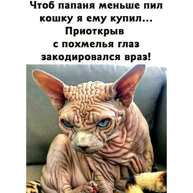Женский юмор